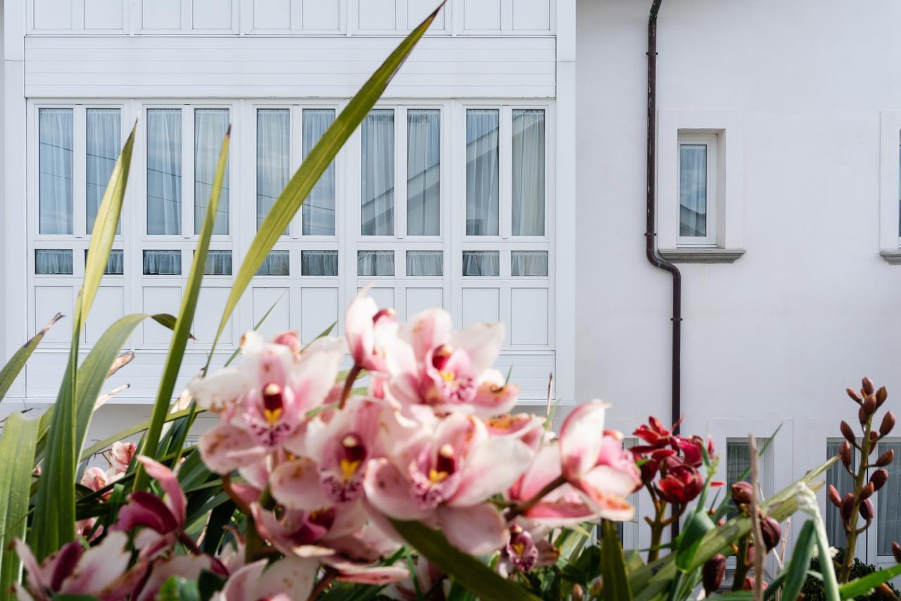 La Casa De Las Camelias Otel Busto Dış mekan fotoğraf